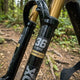 FOX Decal Kit 36 E-Bike, Kashima/Gray Logo, Shiny Black Fork - hochwertiges Gabel-Tuning
