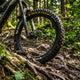Michelin E-Wild Front Performance Line 65 Faltreifen - E-MTB Reifen mit maximalem Grip