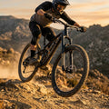 Rockshox RS.Domain Gold Isolator RC3 29 Federgabel. Schwarz, 160mm Federweg für Mountainbike Enduro. Präzise Kontrolle.