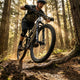 SR Suntour Federgabel SR SF25 AION38X Boost 29