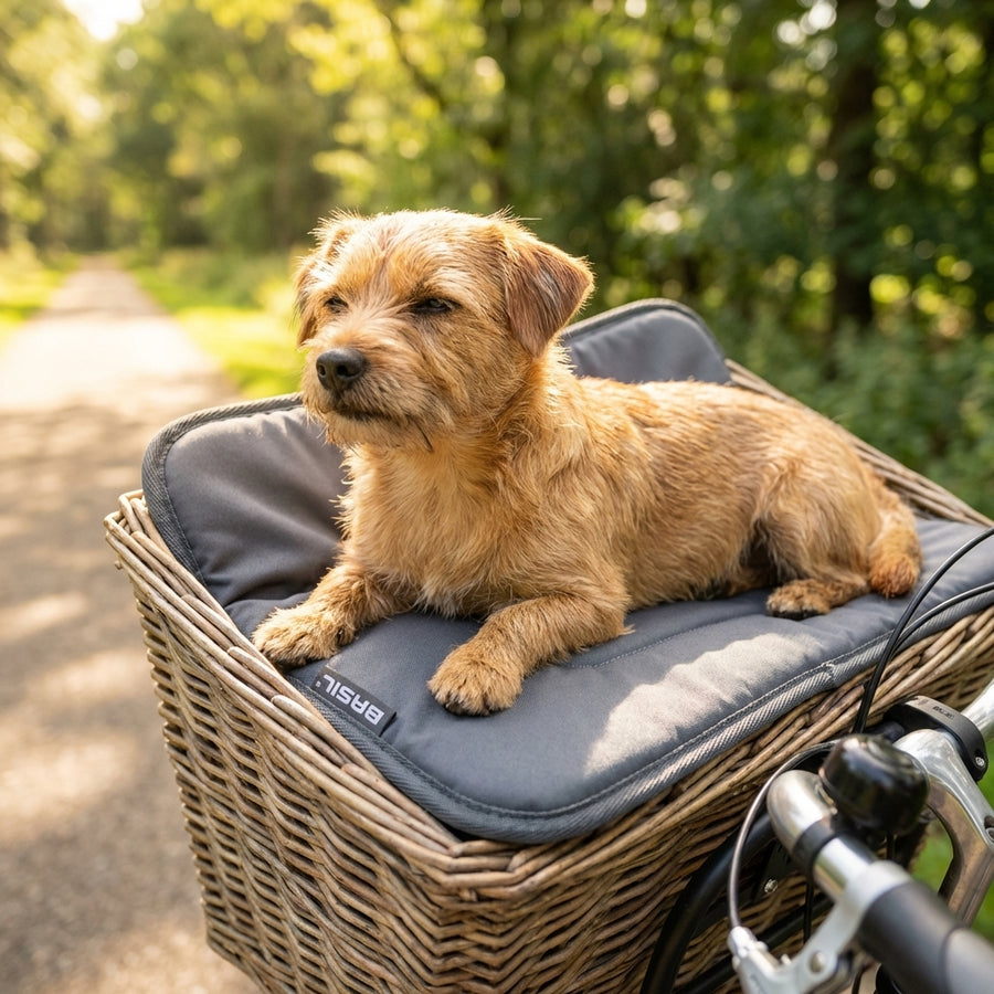 Hund liegt entspannt auf grauem Basil Kissen für Fahrrad Tierkorb Pluto im Weidenkorb.