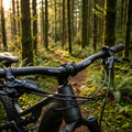 ergotec Lenker Moon 31.8 mm schwarz auf Mountainbike im feuchten Waldweg mit Sonnenstrahlen.