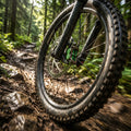 Scheibenbremsbelag Sinter 023 Hayes organisch grün. MTB Race Set in Dose. Top Bremsleistung für Mountainbike.
