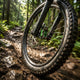 Scheibenbremsbelag Sinter 023 Hayes organisch, MTB Race, grün, Set, in Dose