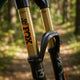 FOX Service Set 34 SC 120 Max 15x110 QR Kashima matt - präziser Gabelservice
