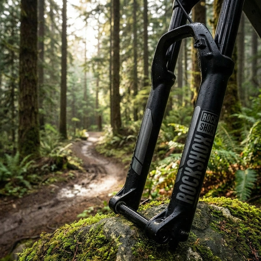 RockShox Domain B1+ LowerLeg 29 Zoll, Diff.Black. Robustes Federgabel-Tauchrohr für Mountainbikes. Inklusive Decals.
