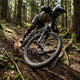 DT Swiss Laufrad E 1900 SPLINE 29" 622x30 mm schwarz - robustes Enduro-Vorderrad