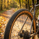 Schwalbe G-ONE ALLROUND Performance Faltreifen 28 Zoll (45-622) Bronze - Vielseitiger Gravelreifen für Abenteuer und Alltag