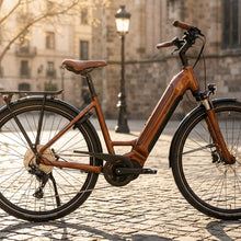 Winora E-City Bike TRIA X11 LOW i625Wh 11-G Cues