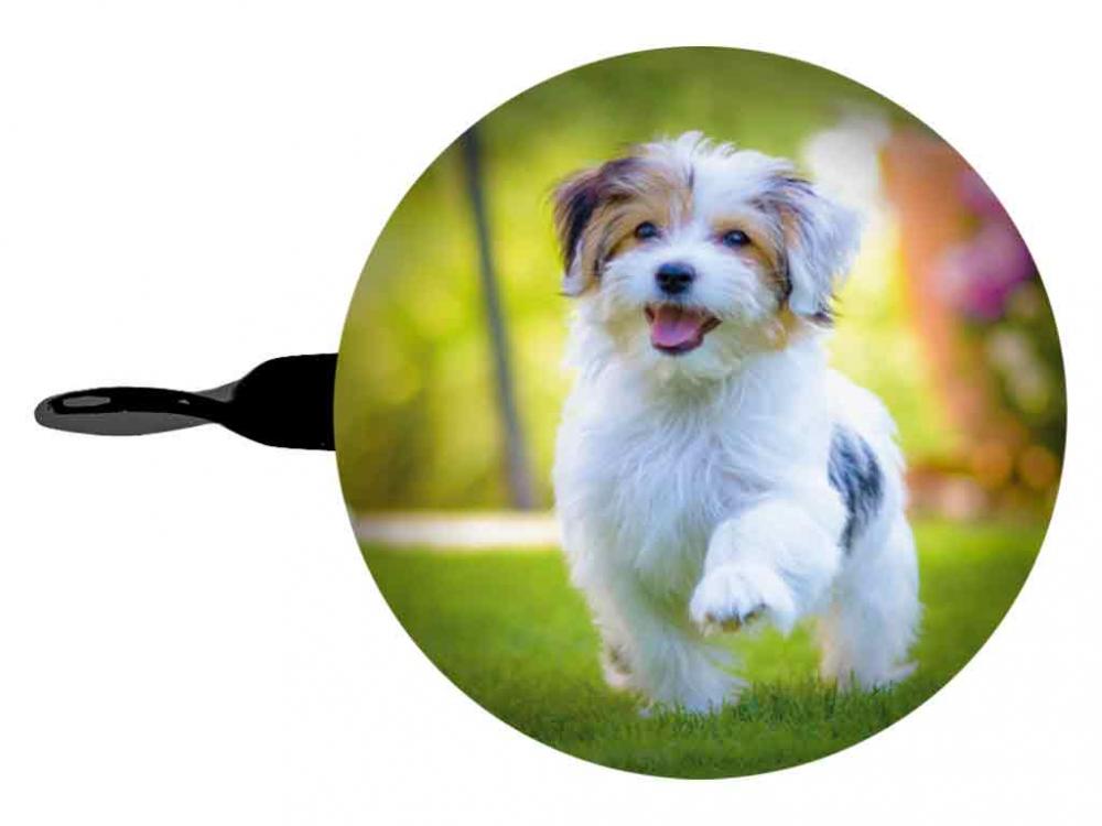 BB Klostermann beBell Klingel bunter Hund