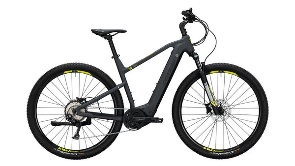 CONWAY Elektrorad Cairon X 300 (2020), Herren 28, grey matt/black matt, 10-Gang SHIMANO Deore, RH M