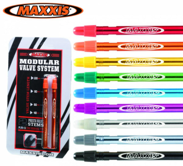 Maxxis MVS Ventile 48mm silber 2er Set