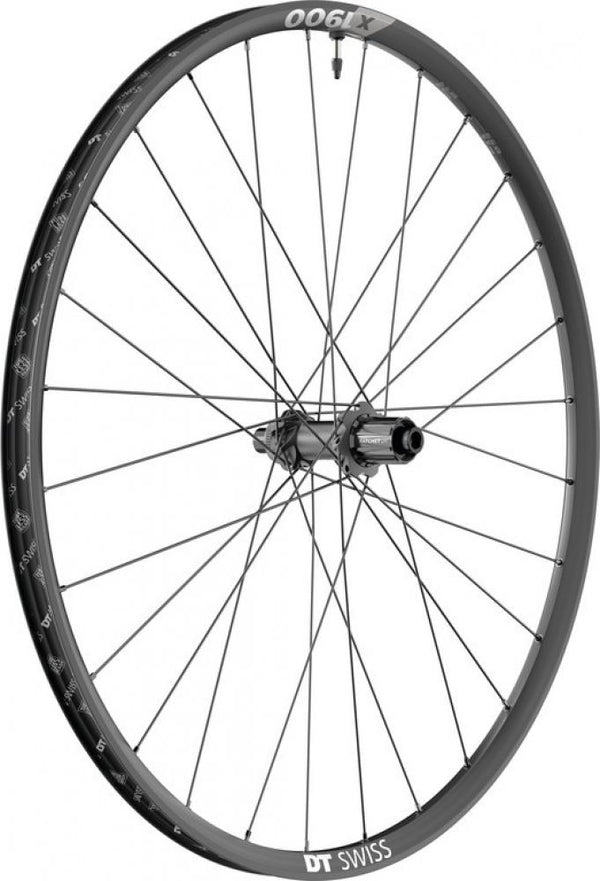 DT SWISS Laufrad (Hinterrad) X 1900 Spline DB 29/25mm Alu, sz, CL, 142/12 TA, Shimano