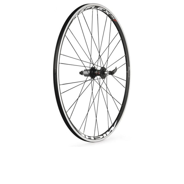 LRS Renn Reflex XL Campagnolo Clincher