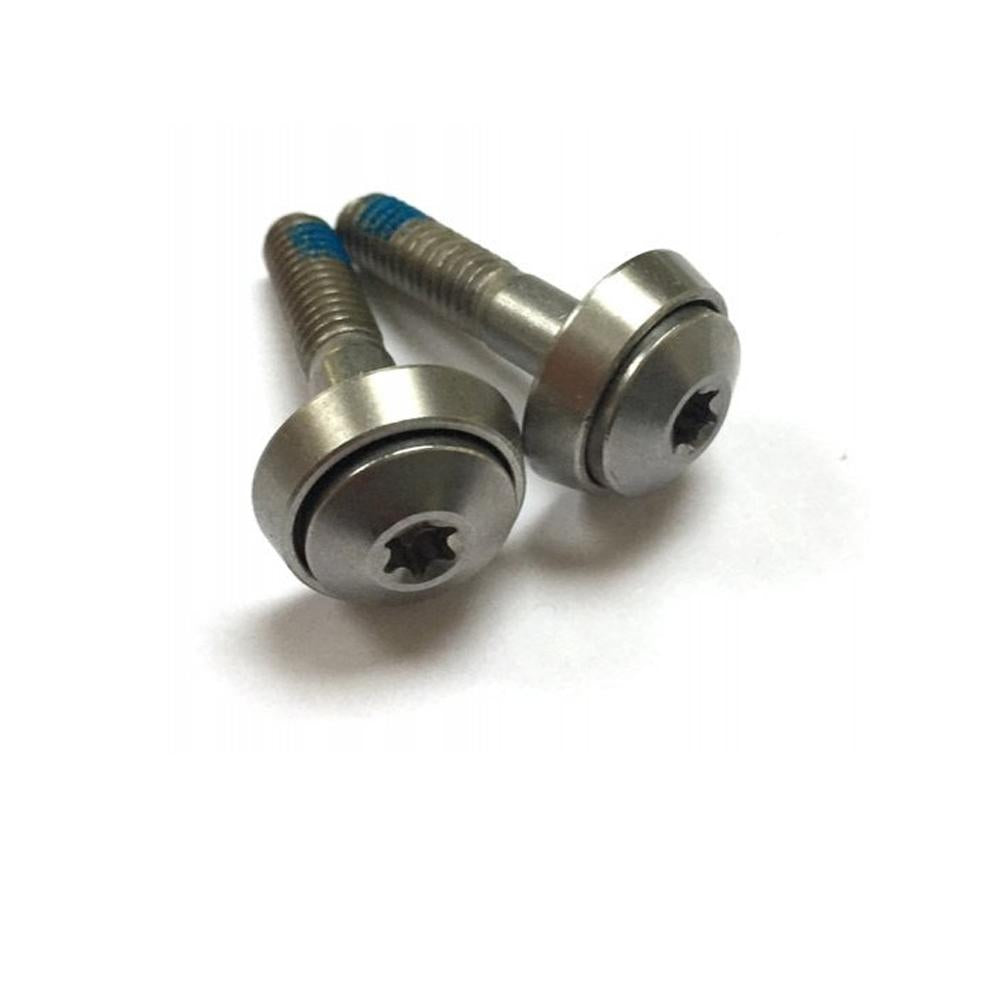 Sattelklemmschraube M6 Torx T25, f. G.2 SP