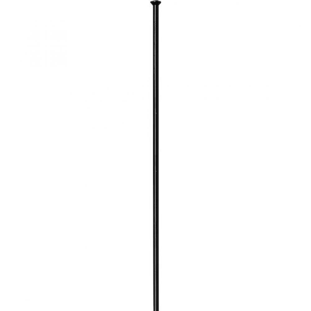 DT Swiss Speiche Competition 2.0 / 1.8 246 mm schwarz Straightpull - robuste Performance