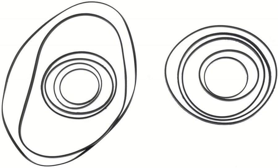 Kass.ritzel-Ring Set SRAM XG-1290 Red E1 für 10-36 Zähne, Dämpferringe