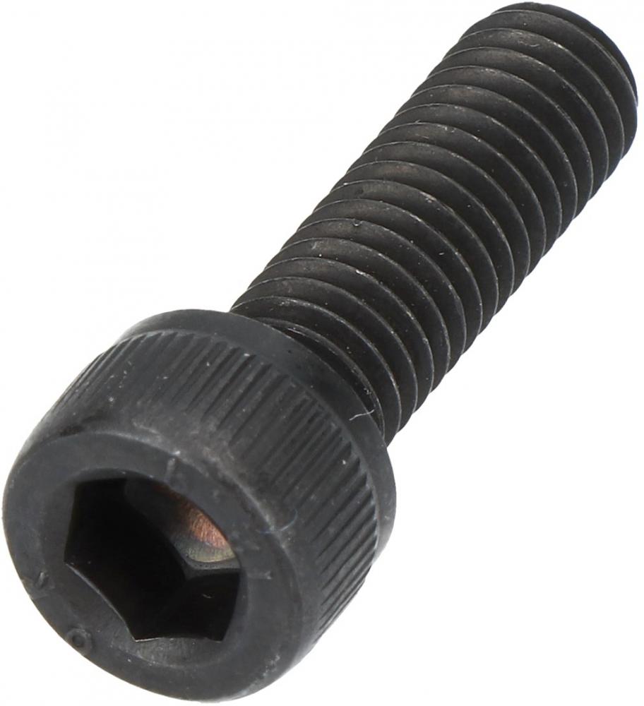 SHIMANO Schraube TL-CN26 - Ersatzschraube für Kettennieter TL-CN26, 7 g