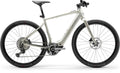Centurion Speeddrive R2000 D EP1 vintage XL / (56) Grau - sportliches E-Bike der aktuellen Generation