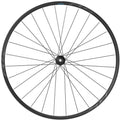 SHIMANO Vorderrad WH-RS171 622-19C - 622-19 28 Loch Center-Lock 100x12 mm
