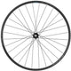 SHIMANO Vorderrad WH-RS171 622-19C - 622-19 28 Loch Center-Lock 100x12 mm