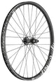 DT Swiss Laufrad FR 1950 Classic 29" 622x30 mm schwarz - robustes Downhill-Vorderrad