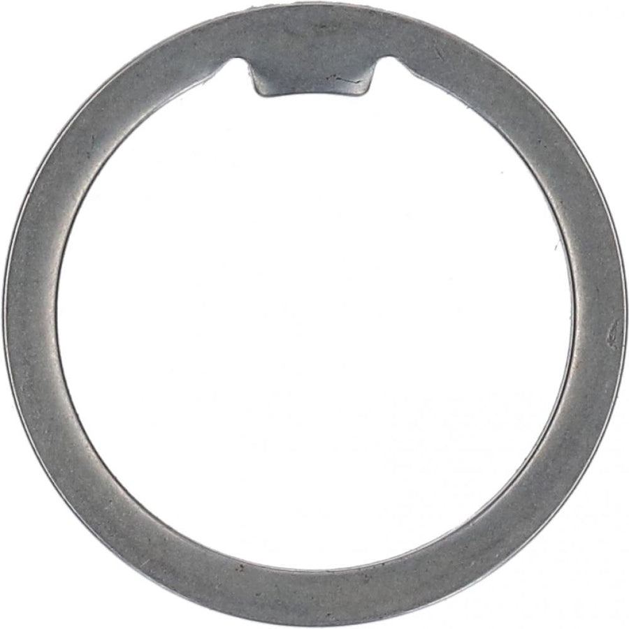 SHIMANO Schutzring SG-S700 - Kettenschutz für Nabenschaltung, ca. 30 g