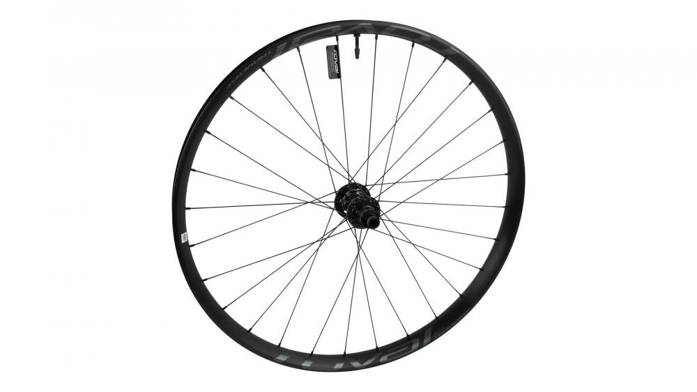 TRAVERSE WHL MY21 TRAVERSE - Nabe - FRONT ALLOY TA 15X110MM DISC 6-BOLT 28H (SP-19151) - BLACK W/ CHARCOAL DCL - Vorderrad