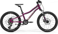 MERIDA MATTS J.20 HP4 LILA(CHAMPAGNER-SILBER) UNI_10