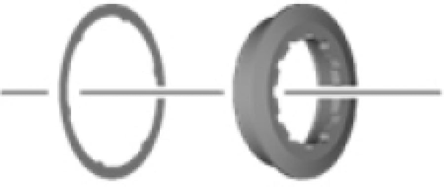 SHIMANO Verschlussring CS-R8100 - Lockring für 12-fach Rennrad-Kassetten, ca. 8 g