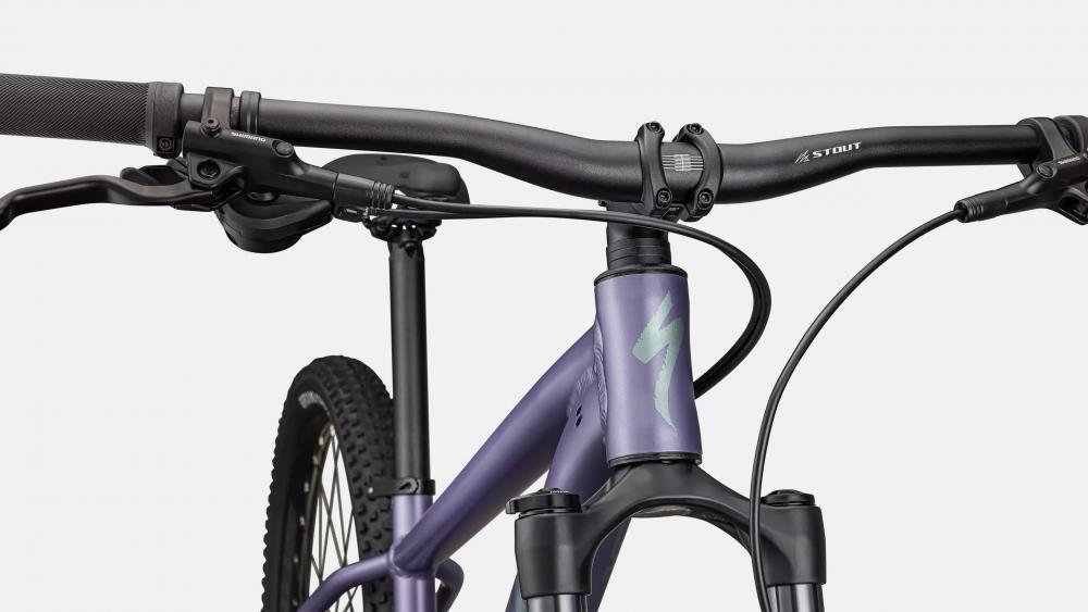 Specialized Rockhopper Comp 29 Zoll Mountainbike - Rahmengröße S