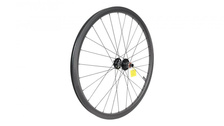 CONTROL WHL MY19 CONTROL CARBON 29 - Hinterrad - REAR TA 12X148MM DISC 6-BOLT 28H SRAM XD FHB (HILO HUB) - SATIN CARBON (NO DECAL) - Laufrad