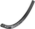 DT Swiss Felge R 460 Disc 28"/700C 32 Loch Schwarz - leichte Allround-Disc-Felge
