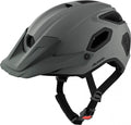 Alpina Helm Comox coffee grey matt 52 bis 57cm