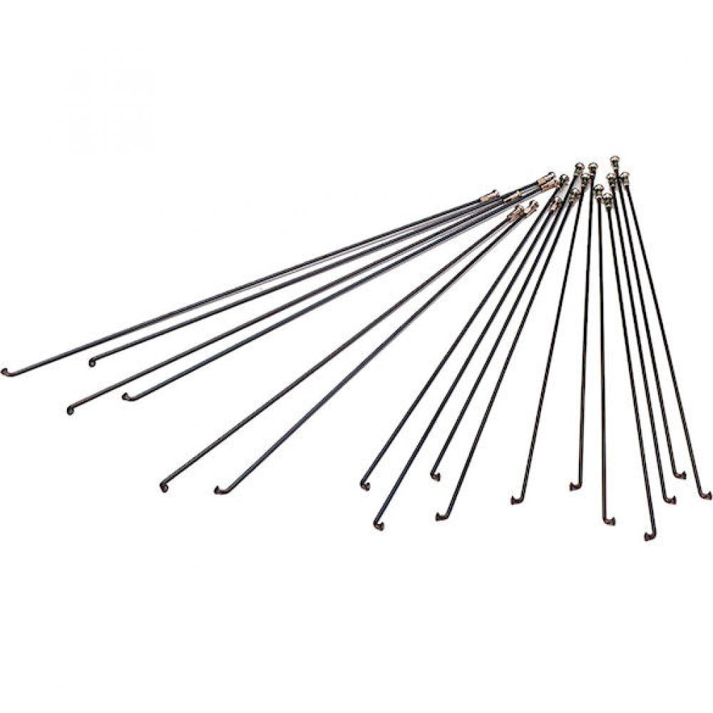 DT Swiss Speiche Champion 2.0 VE500 315 mm schwarz - robuste Standardspeiche für Straße & MTB