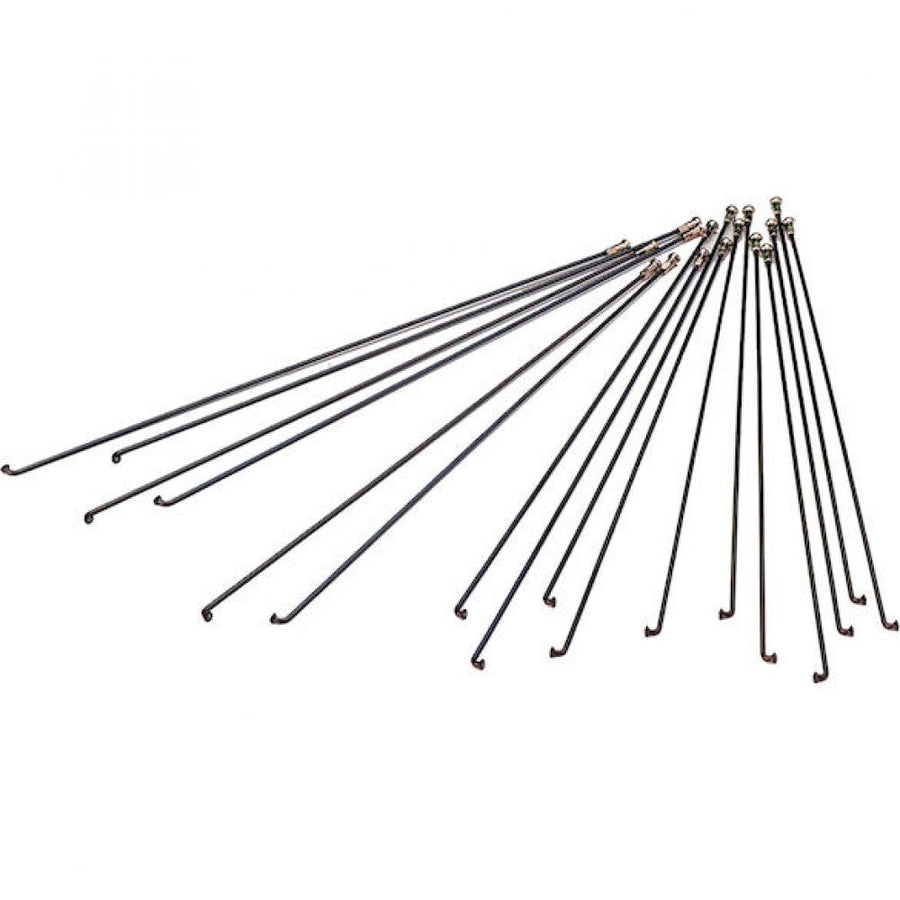 DT Swiss Speiche Champion 2.0 VE500 276 mm schwarz - robuste Allround-Fahrradspeiche