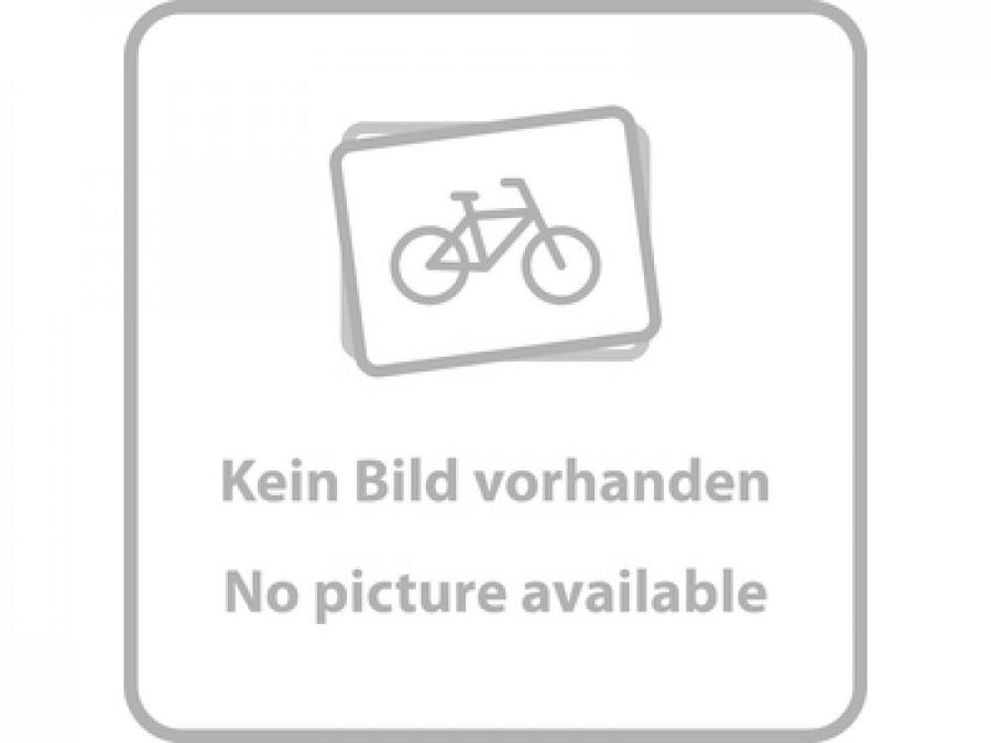 SRAM Freilaufkörper MTH 746 9-/10-fach - zuverlässiger Austausch-Freilauf für Hinterradnaben