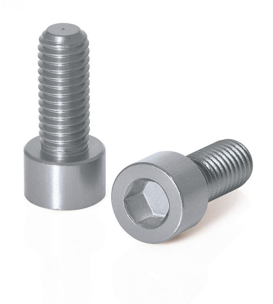 XLC Schrauben für Trinkflaschenhalter, 2er Set, titan-farbig, Innensechskant