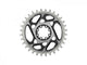 SRAM Kettenblatt T-Type Eagle XX SL 32T 0 mm Offset - maximale Effizienz für Eagle Transmission