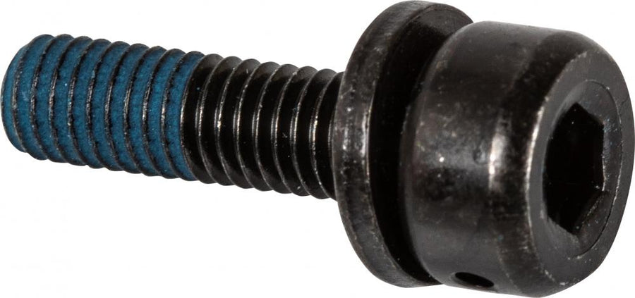 SHIMANO Befestigungsschraube Bremssatteladapter Flat-Mount-Rahmen 10 mm M5 x 16,8 mm - 10 mm, 16,, 8 mm