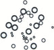 SRAM O-Ring Set für Entlüftungsspritzen 10 Stück - zuverlässige Dichtung für präzises Entlüften