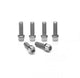 Ritchey WCS C220 Vorbauschrauben, 6 Stück, Edelstahl, passend für WCS C220 Vorbauten, Größen: 4x M5 x 16 mm, 2x M5 x 18 mm, Farbe: Silber
