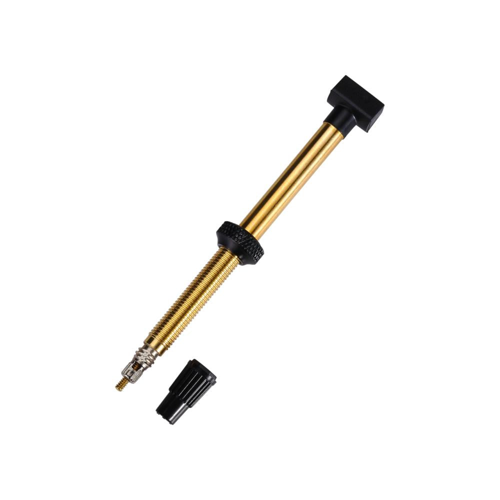 Tubeless Ventile Herausnehmbarer Kern 2 Stk 48mm Messing
