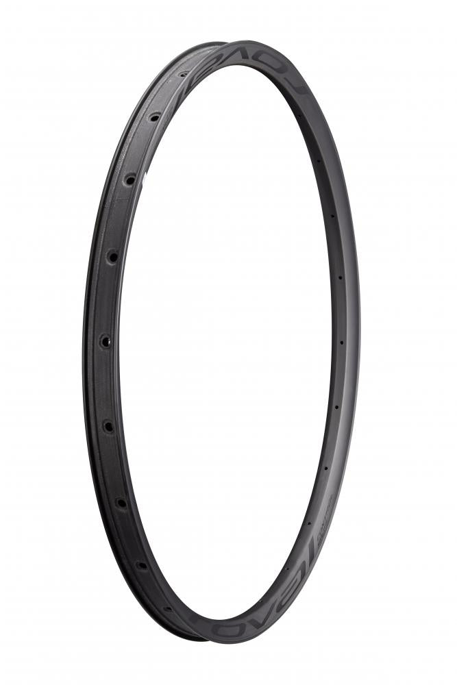 CONTROL RIM MY21 CONTROL SL 29 - Felge - FRONT & REAR CARBON 24H DISC 29MM INTERNAL (WC031) - SATIN CARBON W/ BLACK DECAL