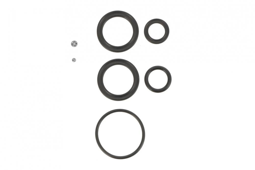 SR Suntour RS Oil Seal Kit RS16-17 Duair ist ein Dichtungssatz für SR Suntour RS16 und RS17 DUAIR Dämpfer, enthält PSB103, DS0001, FAA245, RAA041, RAA046, RAA062, kompatibel mit allen Versionen