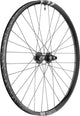 DT Swiss Laufrad F1900 Classic 29" 30, 622 x 30 mm Schwarz - robustes Bikepark-Vorderrad