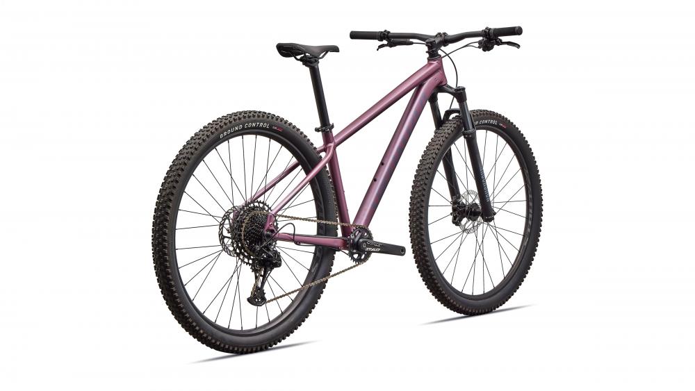 Specialized Rockhopper Expert Hardtail MTB 29 Zoll - Quartz Metallic/White Größe S - Mountainbike