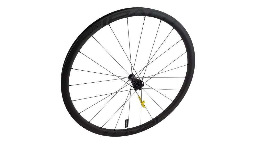 CONTROL WHL MY18 CONTROL SL 29 - FRONT CARBON TA 15X100MM DISC 6-BOLT 24H (LFM16) - SATIN CARBON W/ BLACK DCL - Nabe - Vorderrad