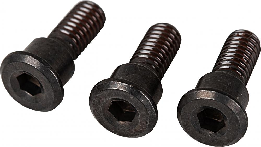 SHIMANO Schaltrollenschraube für RD-M985 3 Stück - Ersatzschrauben, ca. 6 g