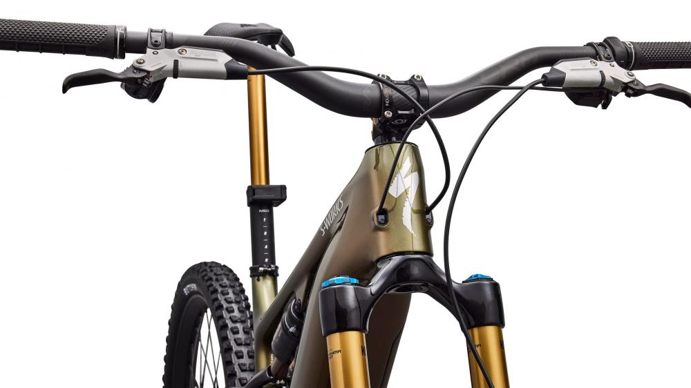 LEVO SW Carbon G4 E-Bike - Laurel Green Metallic/Burnt Gold Metallic S4 - Unbekannt